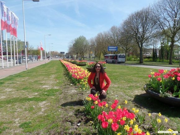 ‏‎Salwa Bidan‎‏. ·  ربيع هولندي جميل .... مساءك خيرا هولند