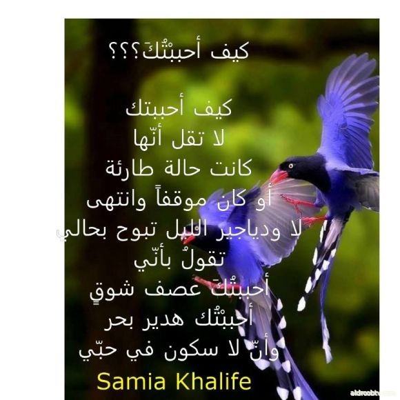 Samia Khalife