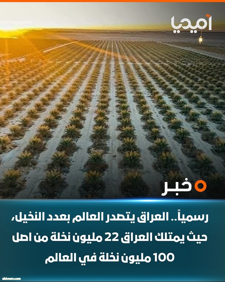 أميديا Amedia  ·   رسمياً.. العراق يتصدر العالم بعدد النخيل، حيث يمتلك العراق 22 مليون نخلة من اصل 100 مليون نخلة في العالم