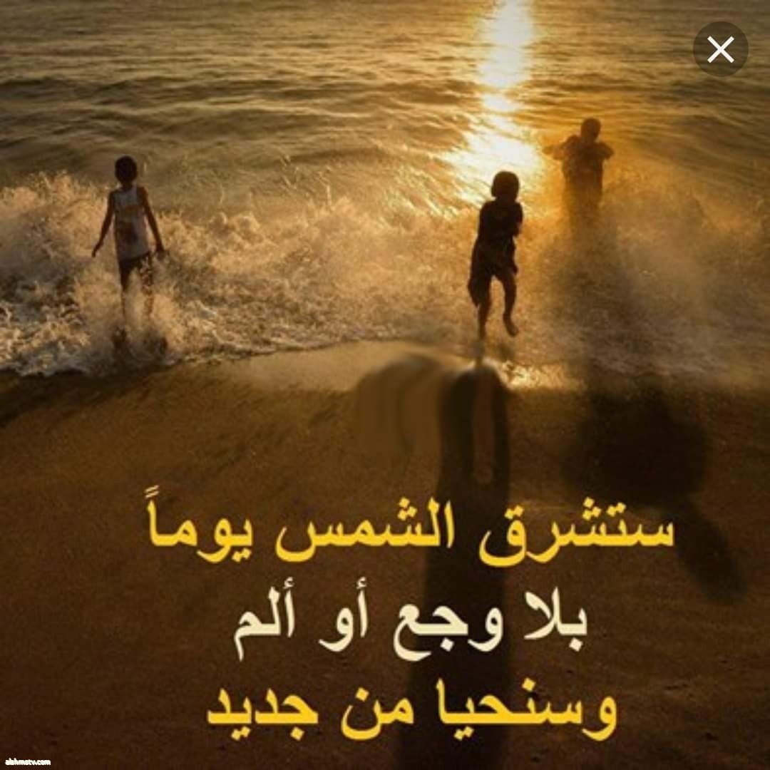 Hanaa Alalusi Alalusi هو حلمي هناء الالوسي Hanaa Alalusi Alalusi هو حلمي هناء الالوسي