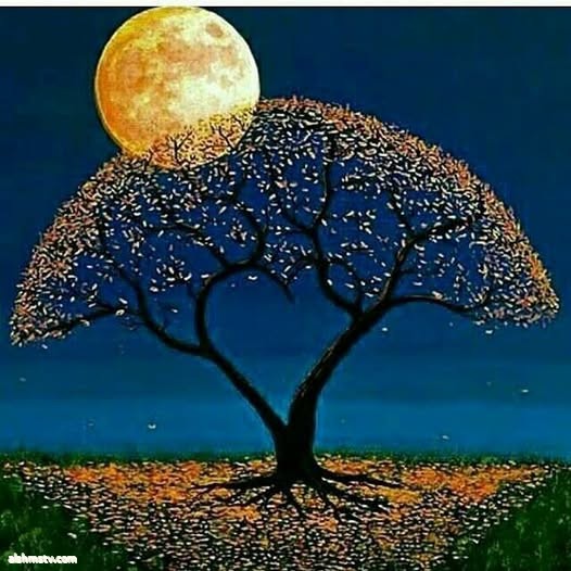 "إن سألت عني مئة شخص ستجد أمامك مئة رأي، أنا لا أطرح شخصيتي مع الناس، أنا أجاري عقولهم."زينب الشمري الكويت