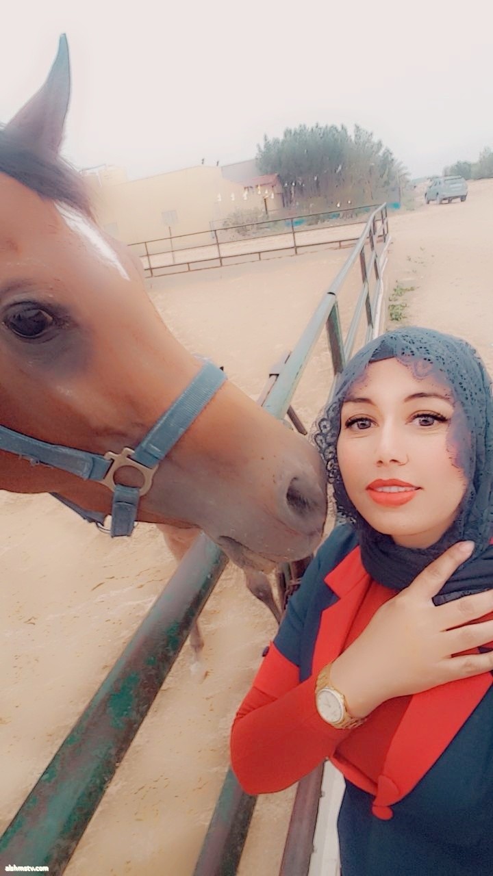 الخيل العربي الأصيل… مرآة الجمال والإيجابية  دكتوره زينب الشمري (أم جاسم)  الكويت