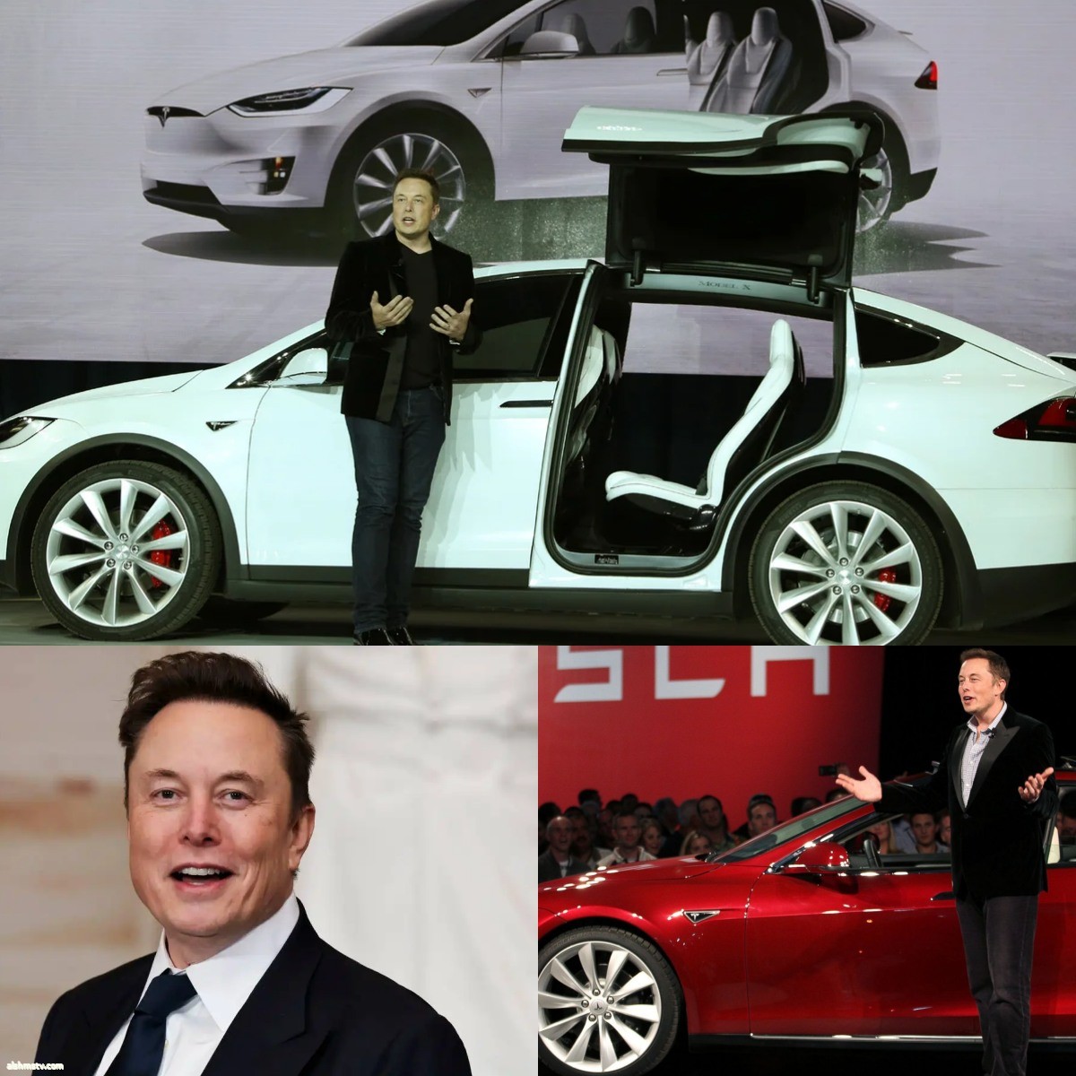 Maria Grazia Gamarra