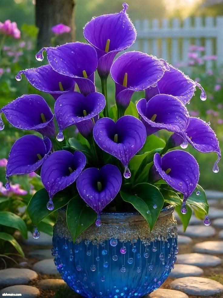 عامر عبد الرزاق ذاكرةُ الحضارات العراقية ورسالةٌ إلى الأجيال لتعزيز الانتماء    هذا لا عتاب، ولا بيان إدانة،