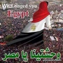 احتفال المنظمات والمؤسسات المصرية بهولندا--عبير احمد