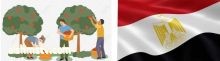 المصريون يتخطوا أزمة الدولار بالقريب العاجل.. لهذا السبب  كتب: أحمد الكومي