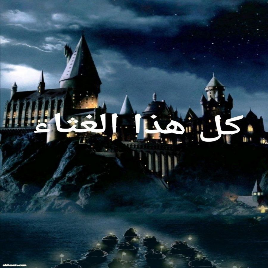 كل هذا الغثاء    السفير دكتور مجدي محمد أحمد  الشيخ مجدي