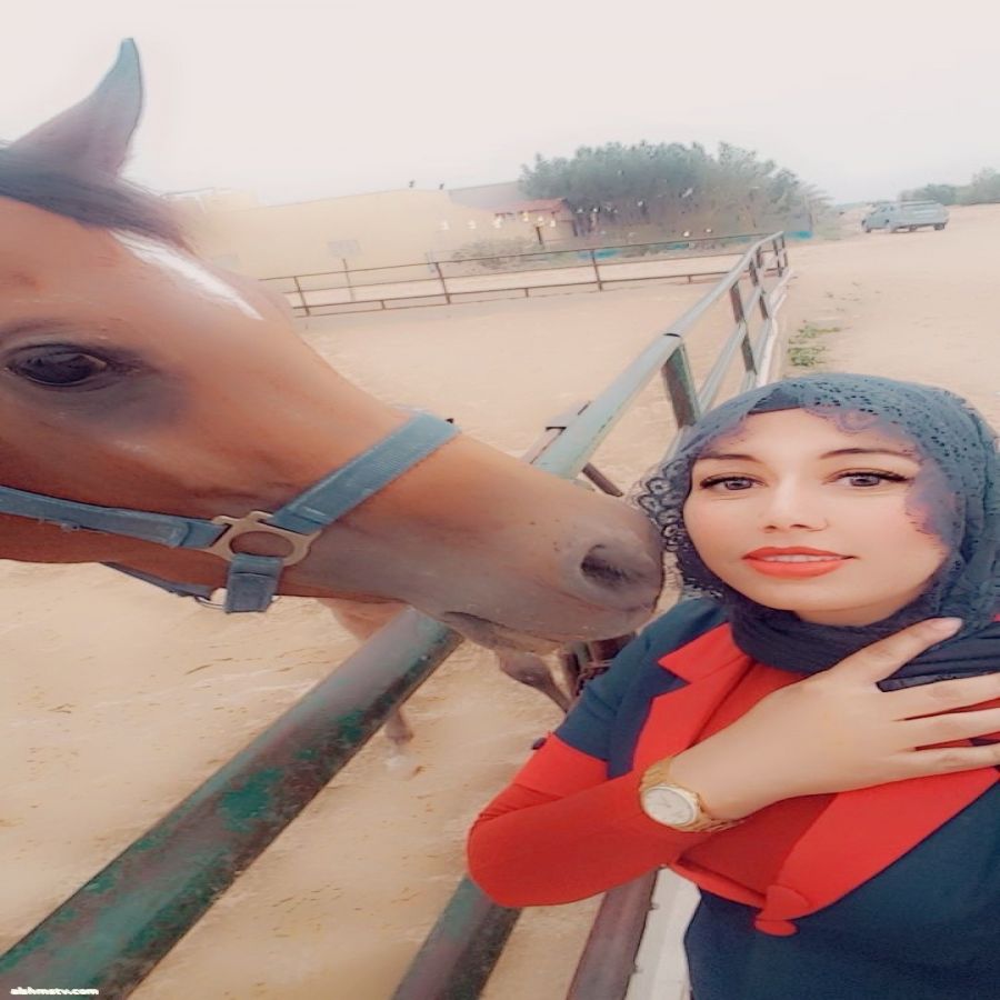 الخيل العربي الأصيل… مرآة الجمال والإيجابية  دكتوره زينب الشمري (أم جاسم)  الكويت