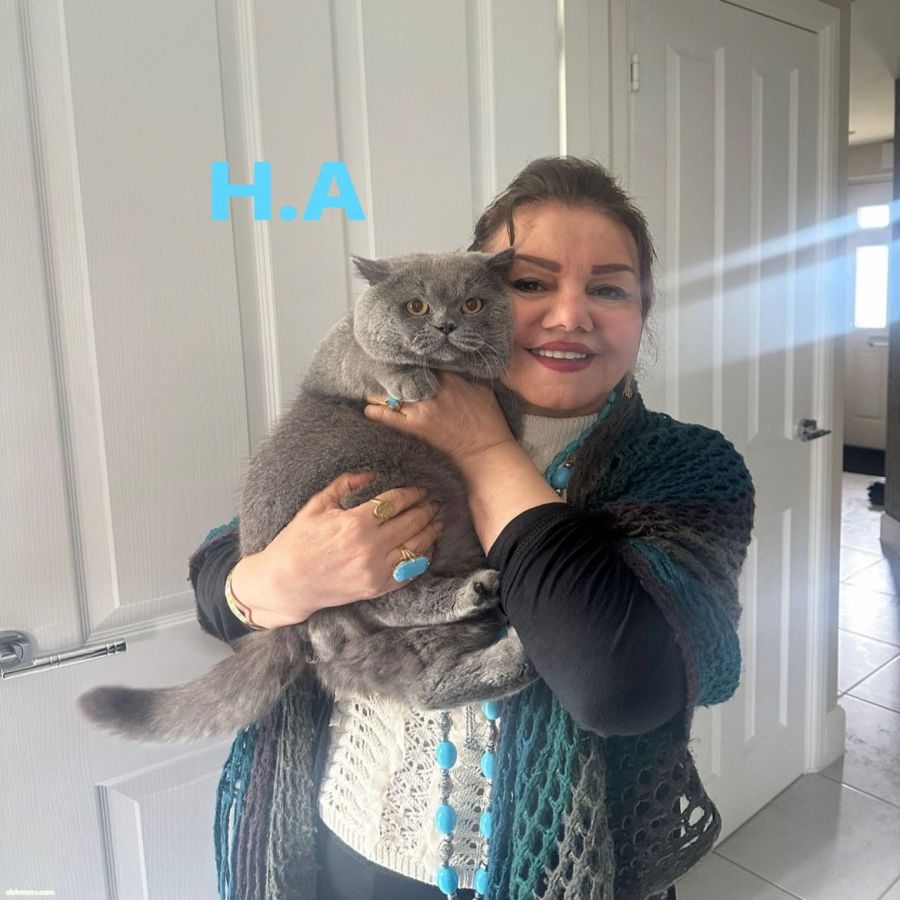 الشاعره الاعلاميه المذيعه الرائده هند احمد أبحثُ عن شَيءٍ دون عنوان