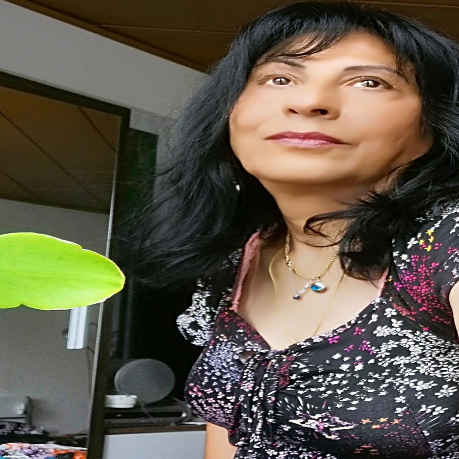 رحيل الاديبه ايمان المشمي