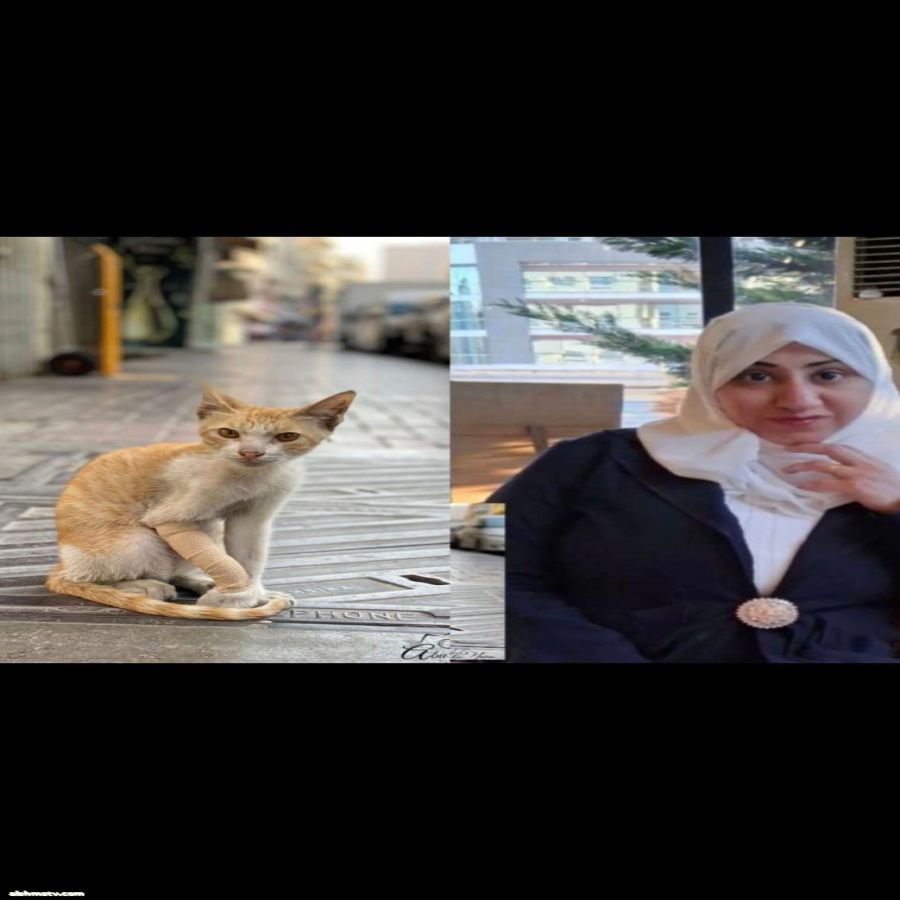 إبداع مصور  د. رحمه العامر   في احد الايام  جذبت ناظري  احدى الصور