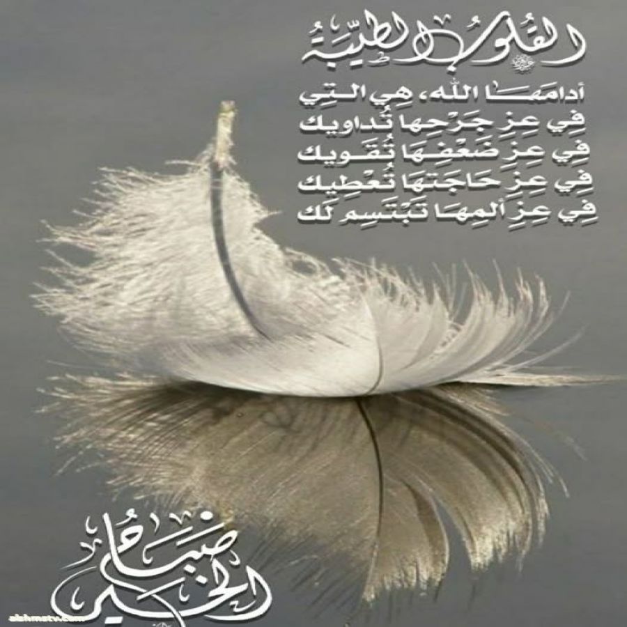 Hanaa Alalusi Alalusi كل يوم هو بمثابة عمر يكتب لنا من جديد وهناك درس نتعلمه وتجربة نخوضها