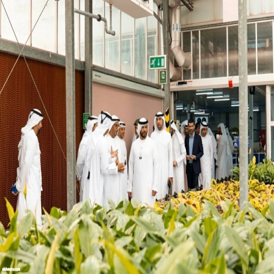 دبي تطلق «مُزارع الفريج» عبر كريم لتنظيم الزراعة المنزلية بخدمات مرخصة وآمنة تشمل الري والصيانة والاستشارات بدءاً من سبتمبر