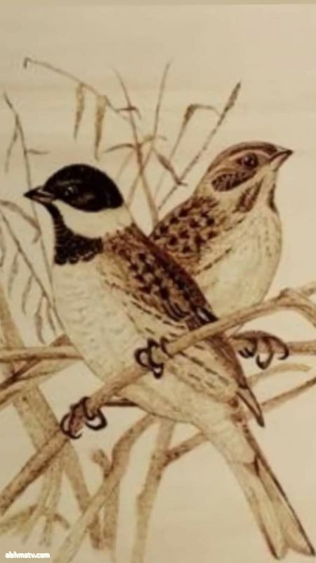image image