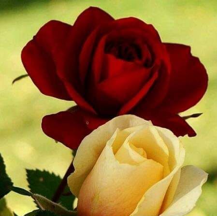 اغنية ما نسيتك للفنان غياث المقدادي