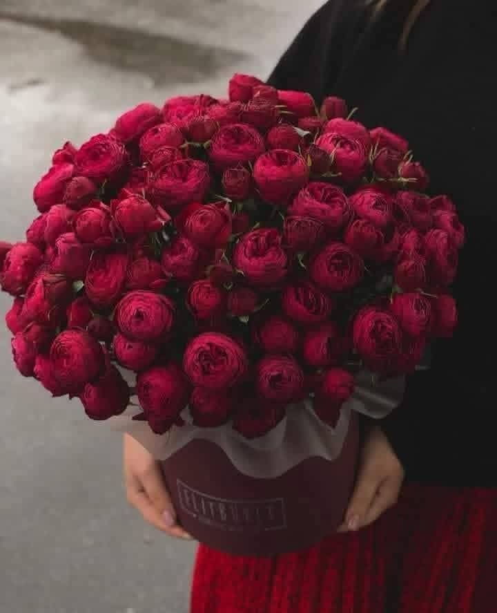 الدكتوره نوف جارالله المسعود حين تتحوّل الرؤية إلى حوار، ويصبح التعاون جسرًا بين القارات… من قصّ الشريط إلى شرح الفكرة، لحظة تجمع كوريا وأفريقيا على أرض واحدة، برؤية كويتية تؤمن بأن الابتكار لغة العالم المشتركة.